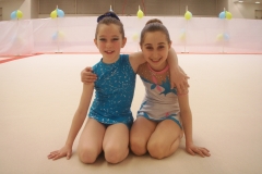 Championnat de zone ensembles avril 2016