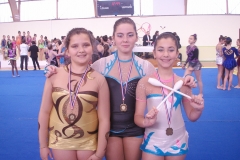 Championnat régional Saint Germain du Puy novembre 2015
